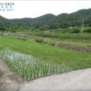 구산면518 이미지