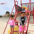 핑크래쉬 - 해운대구 세실로 30 | 핑크래쉬