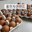 홍천자연랜드 이미지
