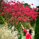 부천-중앙-부천-01 이미지