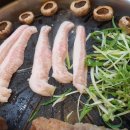 소와돼지방 이미지