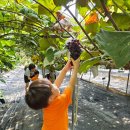 마전농장 이미지