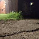 포항독채펜션 이미지