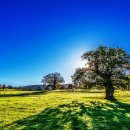 온빛우슈아카데미 이미지