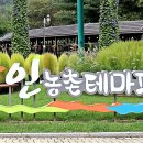 용풍 Daum카페