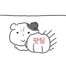 화정축산 - 고양시 덕양구 화신로272번길 58 | 화정축산