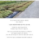 저온압착 국산 참기름 들기름 판매해요 이미지