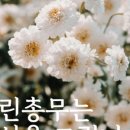 그린행정사사무소 이미지
