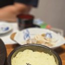 청어람참치
