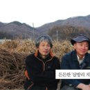 임영석농장 이미지