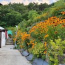 하얀돔펜션 이미지