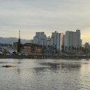 강남게이트볼장 이미지