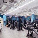 3GYM | 두정동 헬스장 정착 천안헬스장 W GYM 두정점 3개월 후기