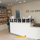 오월의 동물병원 이미지