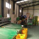 남밀양농협 초동지점 이미지