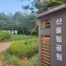 24.9.7수원 산울림공원 맨발걷기.수원황토길맨발걷기 이미지