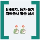 샤론농원 이미지