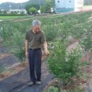 봉성유통 네이버블로그