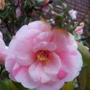 머문화이트 이미지