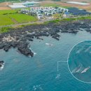 스테이디앤디풀빌라 이미지