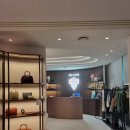 비노바인 이미지