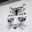 김대현태권도 이미지