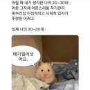 집밥집 네이버블로그
