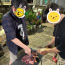 주청민박 네이버블로그