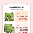 흰민들레소식 이미지