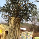 종달새어린이공원 이미지