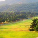 강남300 컨트리클럽 | 강남 300 컨트리클럽(강남300 cc) 라운딩후기 ~