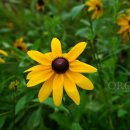 구천동한의원 이미지