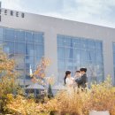 돌이가든 이미지