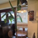 파란주유소 | 반여동맛집 함박마을 먹물 크림 리조또 후기