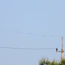 낙동강변23 이미지