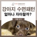 24시연동물의료센터 이미지