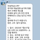 우현유치원 네이버블로그