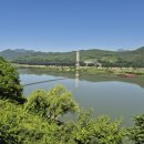 시루섬 Daum카페