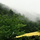 길캠프