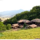 도라지 고갯길 / 김상진 이미지