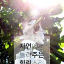 코튼트리파트너스