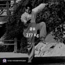 Y3 복싱클럽 이미지