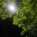 탁구 4반 이미지