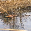 미성동-28 이미지