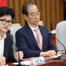 한가한가 이미지