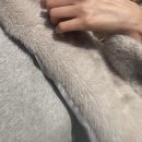 라플리스튜디오 이미지