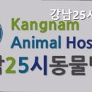 강남25시동물병원