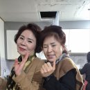 고흥-8호 이미지