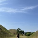 펀치마켓몰 | 여행 여름편-미술관, 카페, 소품샵 :: 오아르미술관 레이지스몰 가봉반과 미피스토어 죠니스마켓 경주아이