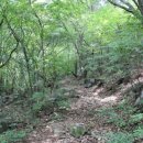 계룡산골프장 이미지